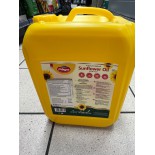 Nitya Sunflower Oil 10Ltr