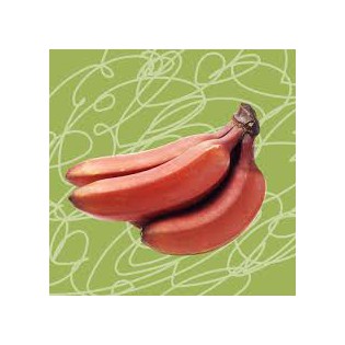 (Fresh) Red Banana 250g