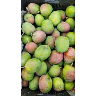 (Fresh) Lalbhag Indian Mangoes  (Delivery b/w 29-30th April)