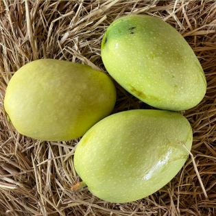 (Fresh) Narusalai Mangoes 2.7- 3.1kgs (Delivery b/w 17-18th June)