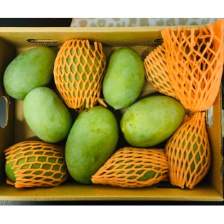 (Fresh) Langra Indian Mangoes 1.4-3.6 Kg (Delivery b/w 2nd -3rd July)