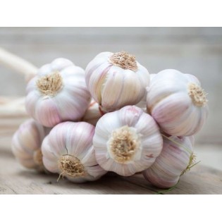 (Fresh) Garlic (3 bulbs) 150 gms Approx