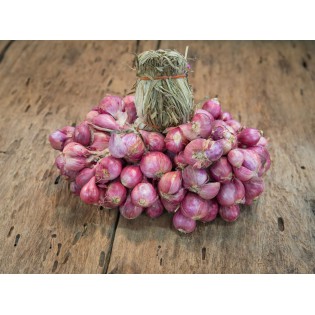 (Fresh) Shallot Onion