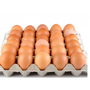 Eggs 20 Large