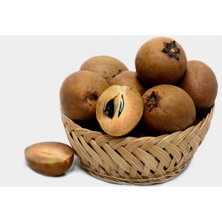 (Fresh) Indian Chikoo Fruit (per pc)