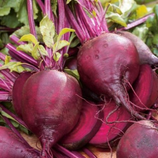 (Fresh) Beetroot Per Bunch