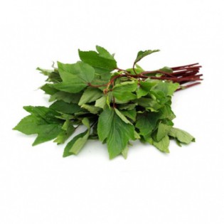 (Fresh) Gongura Kenaf 250g (Hibiscus cannabinus)