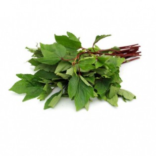 (Fresh) Gongura Kenaf (Hibiscus cannabinus) -1Pc (100-200 gms)