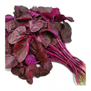 (Fresh) Amarnath Leaves Per Bunch