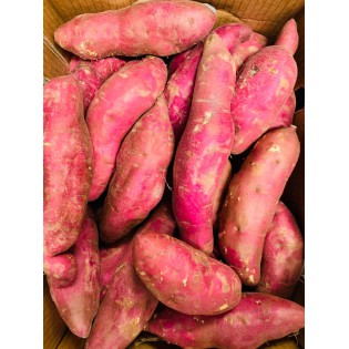 (Fresh) Red Sweet Potato