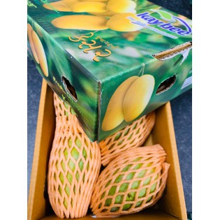 (Fresh) Kesar Indian Mangoes 6 Pcs