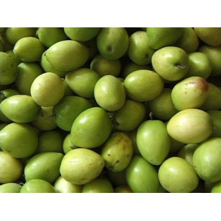 (Fresh) Indian Bair (Jujube)