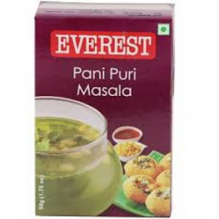 Everest Pani Puri Masala 100GM