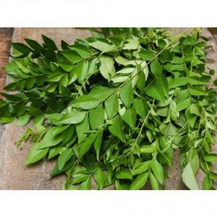 (Fresh) Curry Leaves Per Bunch (30-40) gms