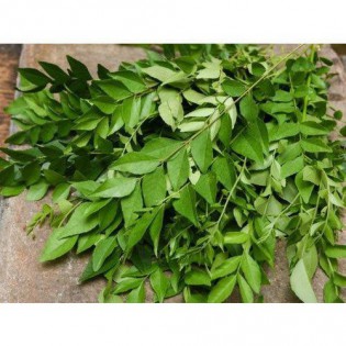 (Fresh) Curry Leaves Per Bunch (40-50) gms