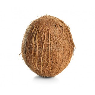 (Fresh) Coconut