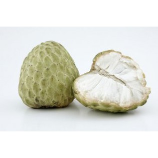 (Fresh) Custard Apple Per Pc
