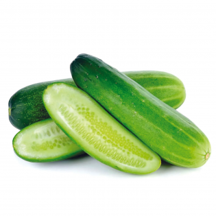 (Fresh) Indian Cucumber