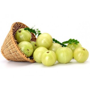 (Fresh) Amla (Gooseberry)