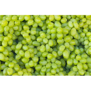 (Fresh) Green Grapes Box