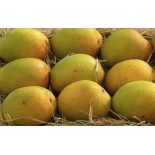 (Fresh) Mallika Indian Mangoes 3kg ((Delivery b/w 07-08th May)