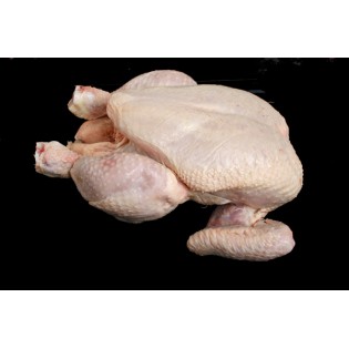 (Fresh) Chicken Whole 900 gms