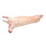 (Fresh) Lamb Whole