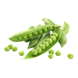 (Fresh) Indian Green Peas in Pod