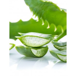 (Fresh) Aloe Vera