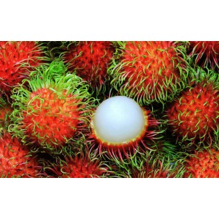 (Fresh) Rambutan 500 gms