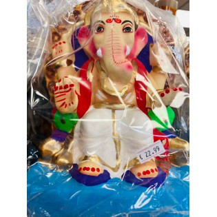 Eco Friendly Ganesh Ji Idol (Coloured) 8 inches