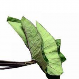 (Fresh) Arvi Leaves (250-300gms Approx)