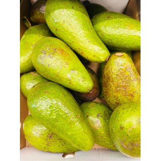 (fresh) Avocado